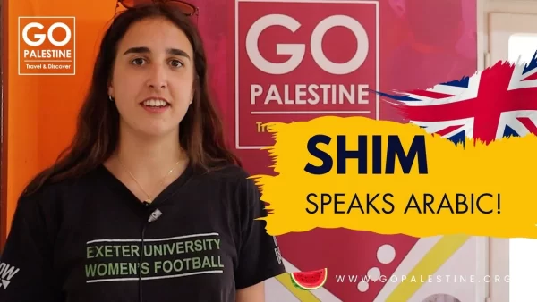 Volunteer and Internship Programs in Palestine 2025/2026